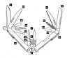 Мультитул Leatherman REBAR (831557) 101.6мм 17функций серебристый карт.коробка