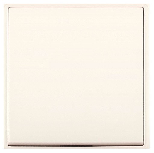 Заглушка Panasonic Arkedia Slim WNTC07012BG-RU 1x пластик бежевый (упак.:1шт)