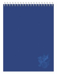 Блокнот Silwerhof 731191-14 A4 мелов.картон 60л клетка гребень синий
