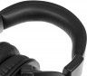 Наушники с микрофоном Sven AP-G999MV серый 2м мониторные оголовье
