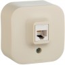 Розетка компьютерная Legrand Quteo (782254) откр. слоновая кость
