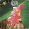 Весы напольные электронные Scarlett SC-BS33E040 макс.180кг рисунок/SPA цветок