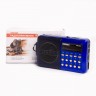 Радиоприемник портативный Сигнал РП-222 синий/черный USB microSD