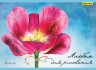 Альбом для рисования Silwerhof 911153-74 40л. A4 Акварельный цветок 1диз. мел.картон офс.лак склейка
