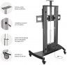 Подставка для телевизора Onkron TS2210 черный 55"-100" макс.136кг напольный мобильный