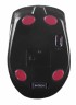 Мышь A4Tech G11-590FX черный/синий оптическая (2000dpi) беспроводная USB (5but)