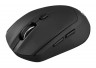 Мышь Acer OMR040 черный оптическая (1600dpi) беспроводная USB (6but)