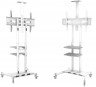 Подставка для телевизора Onkron TS1881 белый 50"-86" макс.105.9кг напольный мобильный