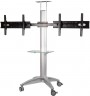 Подставка для телевизора Arm Media PT-STAND-15 серебристый 26"-55" макс.120кг напольный наклон