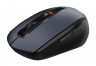 Мышь Acer OMR060 черный оптическая (1600dpi) беспроводная USB (6but)