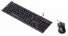 Клавиатура + мышь Оклик 620M клав:черный мышь:черный USB