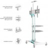Подставка для телевизора Onkron TS1552 белый 40"-70" макс.60.5кг напольный мобильный