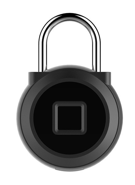 Умный замок Digma SmartLock R1 навесной разбл.отпеч.паль. 100mAh золотистый (SLR1)