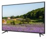Телевизор LED Starwind 43" SW-LED43UA403 черный/Ultra HD/60Hz/DVB-T2/DVB-C/DVB-S2/USB/WiFi/Smart TV (RUS)