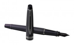 Ручка перьевая Waterman Expert DeLuxe (2119188) Metallic Black RT F перо сталь нержавеющая подар.кор.