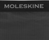 Рюкзак Moleskine JOURNEY PACKABLE (ET9JPDPG29) 6.5x40 0.137кг. полиамид серый