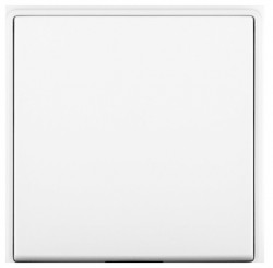 Заглушка Panasonic Arkedia Slim WNTC07012WH-RU 1x пластик белый (упак.:1шт)