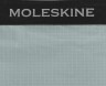 Рюкзак Moleskine JOURNEY PACKABLE (ET9JPDPK42) 6.5x40 0.137кг. полиамид зеленый