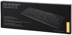 Клавиатура Lenovo 300 черный USB для ноутбука