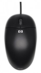 Мышь HP QY777AA черный оптическая (800dpi) USB (2but)