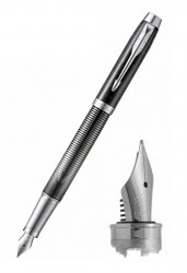 Ручка перьевая Parker IM Premium SE F325 (2074142) Metallic Pursuit F