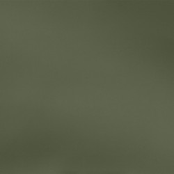 Рюкзак Moleskine THE BACKPACK SOFT TOUCH (ET9CC02BKB) 41x13x32см полиуретан зеленый