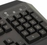 Клавиатура A4Tech Bloody B318 черный USB Multimedia for gamer LED (подставка для запястий)