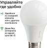 Умная лампа Sber А60 SBDV-00019 E27 9Вт 806lm Wi-Fi (упак.:1шт) (SBDV-00019)